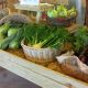 Barber's Farm: Sustainable Farming Traditions Today! | The Conscious Farmer | Sustainable Agriculture for a Healthier Planet