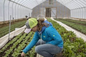 Eco-Friendly Footprint Farm Practices: Sustainable Farming The Conscious Farmer | Sustainable Agriculture for a Healthier Planet Eco-Friendly Footprint Farm Practices: Sustainable Farming | The Conscious Farmer | Sustainable Agriculture for a Healthier Planet