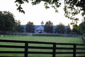 Explore Gainesway Farm Kentucky | Breeding Excellence The Conscious Farmer | Sustainable Agriculture for a Healthier Planet Explore Gainesway Farm Kentucky | Breeding Excellence | The Conscious Farmer | Sustainable Agriculture for a Healthier Planet
