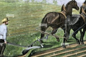A History of 1800's Farming Practices & Legacy The Conscious Farmer | Sustainable Agriculture for a Healthier Planet A History of 1800's Farming Practices & Legacy | The Conscious Farmer | Sustainable Agriculture for a Healthier Planet