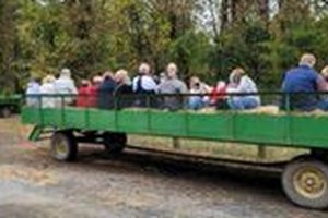 Visit Bo Brooks Farm Today: Fresh, Local & Family Run! The Conscious Farmer | Sustainable Agriculture for a Healthier Planet Visit Bo Brooks Farm Today: Fresh, Local & Family Run! | The Conscious Farmer | Sustainable Agriculture for a Healthier Planet
