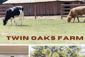 Visit Twin Oaks Fun Farm: Family Fun & More! The Conscious Farmer | Sustainable Agriculture for a Healthier Planet Visit Twin Oaks Fun Farm: Family Fun & More! | The Conscious Farmer | Sustainable Agriculture for a Healthier Planet