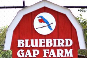 Visit Bluebird Gap Farm Hampton: Fun on the Farm! The Conscious Farmer | Sustainable Agriculture for a Healthier Planet Visit Bluebird Gap Farm Hampton: Fun on the Farm! | The Conscious Farmer | Sustainable Agriculture for a Healthier Planet