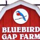 Visit Bluebird Gap Farm Hampton: Fun on the Farm! | The Conscious Farmer | Sustainable Agriculture for a Healthier Planet