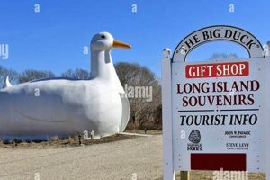 Long Island Duck Farm Guide: Cultivating Excellence! The Conscious Farmer | Sustainable Agriculture for a Healthier Planet Long Island Duck Farm Guide: Cultivating Excellence! | The Conscious Farmer | Sustainable Agriculture for a Healthier Planet