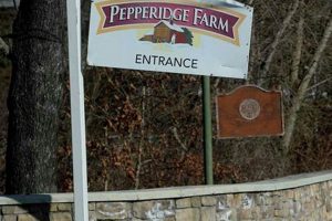 Find Your Role: Pepperidge Farm Jobs & Careers The Conscious Farmer | Sustainable Agriculture for a Healthier Planet Find Your Role: Pepperidge Farm Jobs & Careers | The Conscious Farmer | Sustainable Agriculture for a Healthier Planet