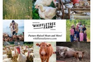 VA's Whiffletree Farm: Sustainable Farming in Virginia The Conscious Farmer | Sustainable Agriculture for a Healthier Planet VA's Whiffletree Farm: Sustainable Farming in Virginia | The Conscious Farmer | Sustainable Agriculture for a Healthier Planet