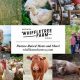 VA's Whiffletree Farm: Sustainable Farming in Virginia | The Conscious Farmer | Sustainable Agriculture for a Healthier Planet