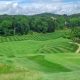 Experience Pevely Farms Golf: Tee Off in Style! | The Conscious Farmer | Sustainable Agriculture for a Healthier Planet