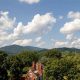 Discover Maranatha Farms: Sustainable Farming | The Conscious Farmer | Sustainable Agriculture for a Healthier Planet