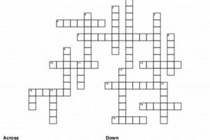 Farm Machine Crossword Clue: A Farming Puzzle Solved The Conscious Farmer | Sustainable Agriculture for a Healthier Planet Farm Machine Crossword Clue: A Farming Puzzle Solved | The Conscious Farmer | Sustainable Agriculture for a Healthier Planet