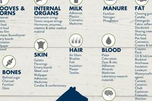 Guide: Farm Credit by Product Chart Options for Farmers | The Conscious Farmer | Sustainable Agriculture for a Healthier Planet