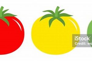 Fix Yellow Tomato Leaves: Farmer Bureau's Guide! | The Conscious Farmer | Sustainable Agriculture for a Healthier Planet