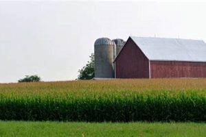 Local Farm Bureau in Batesville AR: Services &amp; Support | The Conscious Farmer | Sustainable Agriculture for a Healthier Planet