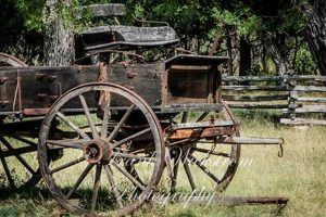 Buy Antique Farm Wagons for Sale: Restored & Vintage | The Conscious Farmer | Sustainable Agriculture for a Healthier Planet