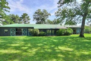 Find Aiken, SC Horse Farms for Sale: Your Dream Awaits! | The Conscious Farmer | Sustainable Agriculture for a Healthier Planet