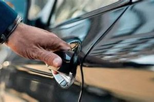 Farm Bureau: Does Your Policy Cover Rental Cars in Accidents? | The Conscious Farmer | Sustainable Agriculture for a Healthier Planet
