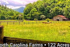 Find Your Dream: North Carolina Farm Land for Sale Today | The Conscious Farmer | Sustainable Agriculture for a Healthier Planet