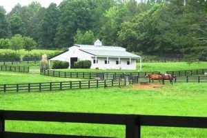 Georgia Horse Farms for Sale: GA Equestrian Properties | The Conscious Farmer | Sustainable Agriculture for a Healthier Planet