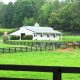 Georgia Horse Farms for Sale: GA Equestrian Properties | The Conscious Farmer | Sustainable Agriculture for a Healthier Planet