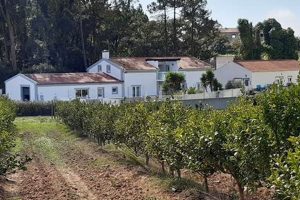 Portugal Farms for Sale: Find Your Dream Estate The Conscious Farmer | Sustainable Agriculture for a Healthier Planet Portugal Farms for Sale: Find Your Dream Estate | The Conscious Farmer | Sustainable Agriculture for a Healthier Planet