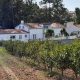 Portugal Farms for Sale: Find Your Dream Estate | The Conscious Farmer | Sustainable Agriculture for a Healthier Planet