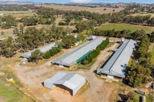 Discover Farms for Sale Australia: Your Rural Dream Awaits | The Conscious Farmer | Sustainable Agriculture for a Healthier Planet