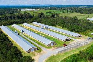 Buy Your Next: Poultry Farm for Sale Today! | The Conscious Farmer | Sustainable Agriculture for a Healthier Planet