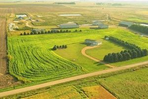 Discover Prime South Dakota Farm Land for Sale Today | The Conscious Farmer | Sustainable Agriculture for a Healthier Planet