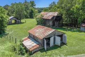 TN Farms For Sale: Find Your Dream Farm in Tennessee! | The Conscious Farmer | Sustainable Agriculture for a Healthier Planet
