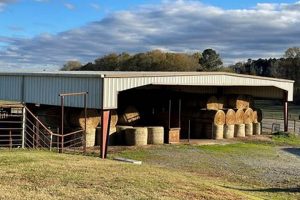 Prime Cattle Farm for Sale: Your Ranch Dream Awaits! | The Conscious Farmer | Sustainable Agriculture for a Healthier Planet