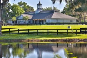 Dream Ocala Horse Farms for Sale: Your Equestrian Estate | The Conscious Farmer | Sustainable Agriculture for a Healthier Planet