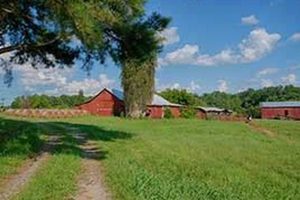 Virginia Farms For Sale: Charlottesville VA Properties + | The Conscious Farmer | Sustainable Agriculture for a Healthier Planet