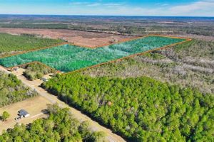 Georgia Farm Land for Sale GA: Your Dream Awaits! | The Conscious Farmer | Sustainable Agriculture for a Healthier Planet