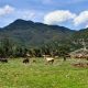 Discover Mexican Farms for Sale: Invest Now! | The Conscious Farmer | Sustainable Agriculture for a Healthier Planet