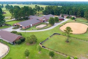 Dream Horse Farm for Sale: Equestrian Estates & More | The Conscious Farmer | Sustainable Agriculture for a Healthier Planet