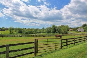 Find Your Dream: Horse Farms for Sale in Virginia Today! | The Conscious Farmer | Sustainable Agriculture for a Healthier Planet