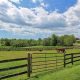 Find Your Dream: Horse Farms for Sale in Virginia Today! | The Conscious Farmer | Sustainable Agriculture for a Healthier Planet