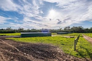 Buy Your Dream: Sheep Farm for Sale Today! | The Conscious Farmer | Sustainable Agriculture for a Healthier Planet