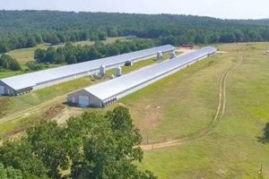 Buy Arkansas Poultry Farms for Sale: Your Farm Awaits! | The Conscious Farmer | Sustainable Agriculture for a Healthier Planet