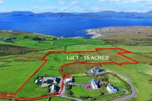 Your Ireland Farm Land for Sale Dream Awaits! | The Conscious Farmer | Sustainable Agriculture for a Healthier Planet