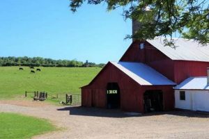 Discover: Amish Farms for Sale - Serene Homesteads | The Conscious Farmer | Sustainable Agriculture for a Healthier Planet