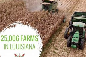 Your Farm Bureau New Iberia Guide: News &amp; Resources | The Conscious Farmer | Sustainable Agriculture for a Healthier Planet