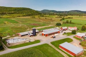 Find NY Dairy Farms for Sale - Milk Your Profits! | The Conscious Farmer | Sustainable Agriculture for a Healthier Planet
