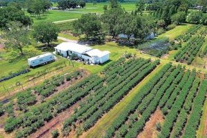 Florida Farm Dreams: Farms for Sale in FL [Land Deals] | The Conscious Farmer | Sustainable Agriculture for a Healthier Planet