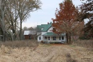 Illinois Farm Ground for Sale: Prime Farmland & Deals | The Conscious Farmer | Sustainable Agriculture for a Healthier Planet