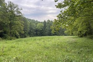 Kentucky Farms: Rockcastle County Farms For Sale &amp; More | The Conscious Farmer | Sustainable Agriculture for a Healthier Planet