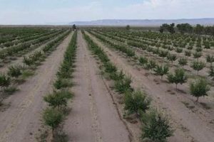 Arizona Farms for Sale: Ranches & Land Deals | The Conscious Farmer | Sustainable Agriculture for a Healthier Planet