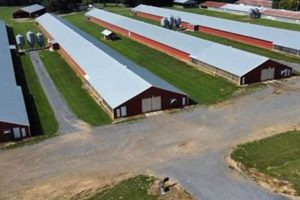 Georgia Poultry Farm for Sale: Your Investment Awaits! | The Conscious Farmer | Sustainable Agriculture for a Healthier Planet