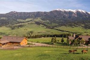 Montana Farms for Sale: Find Your Dream Ranch Here! | The Conscious Farmer | Sustainable Agriculture for a Healthier Planet